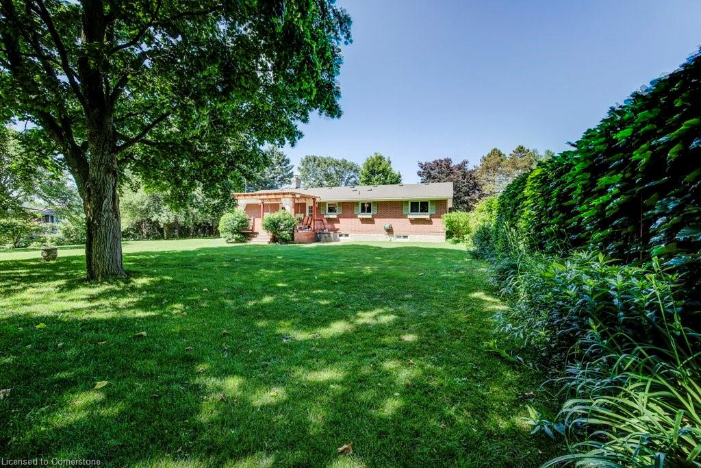 18 Marshall Avenue Property Photo 31