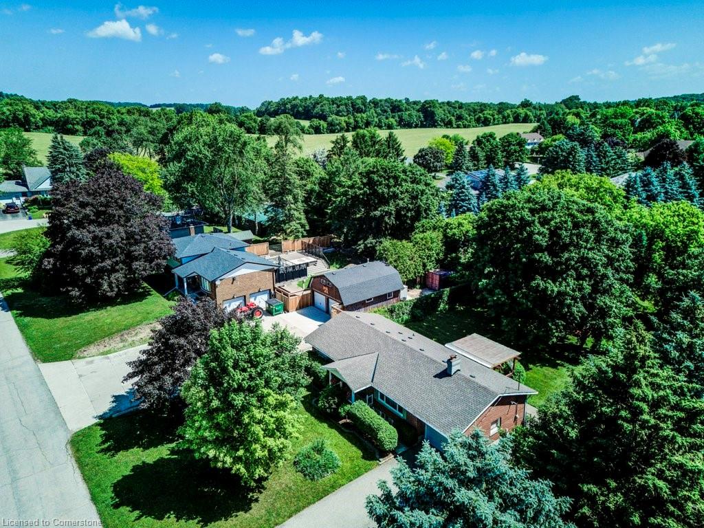 18 Marshall Avenue Property Photo 34