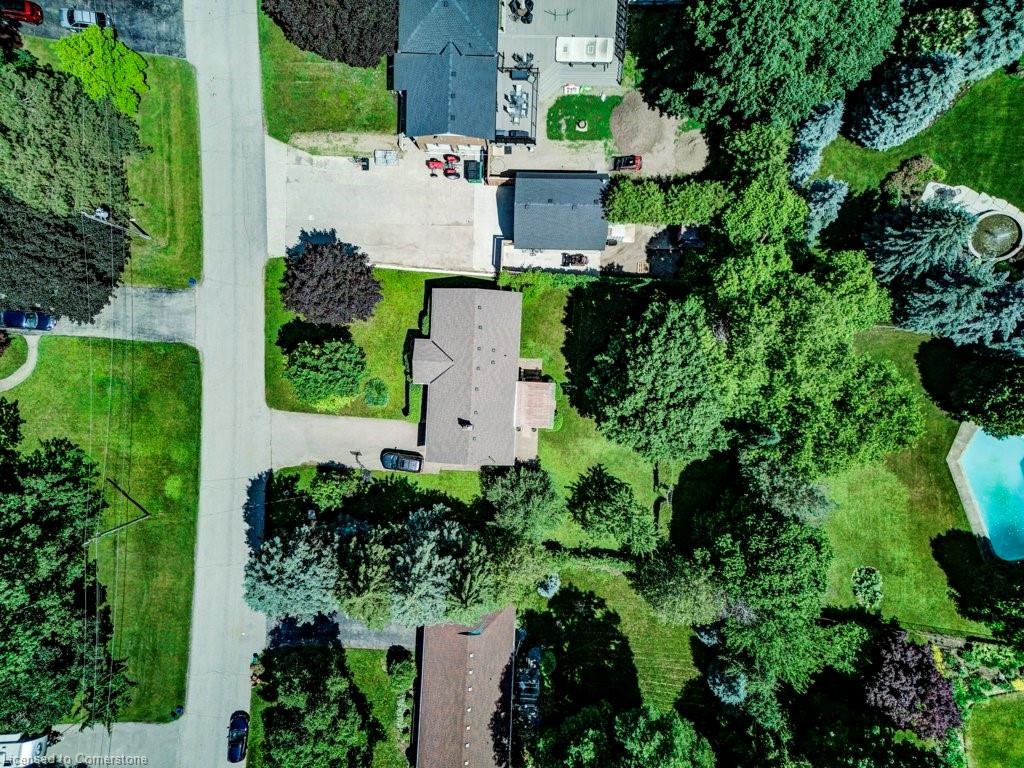 18 Marshall Avenue Property Photo 38