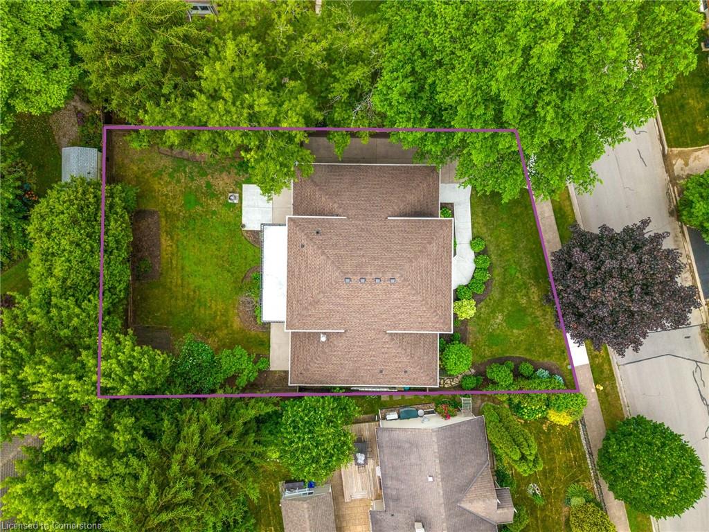 12 Paffard Street Property Photo 45