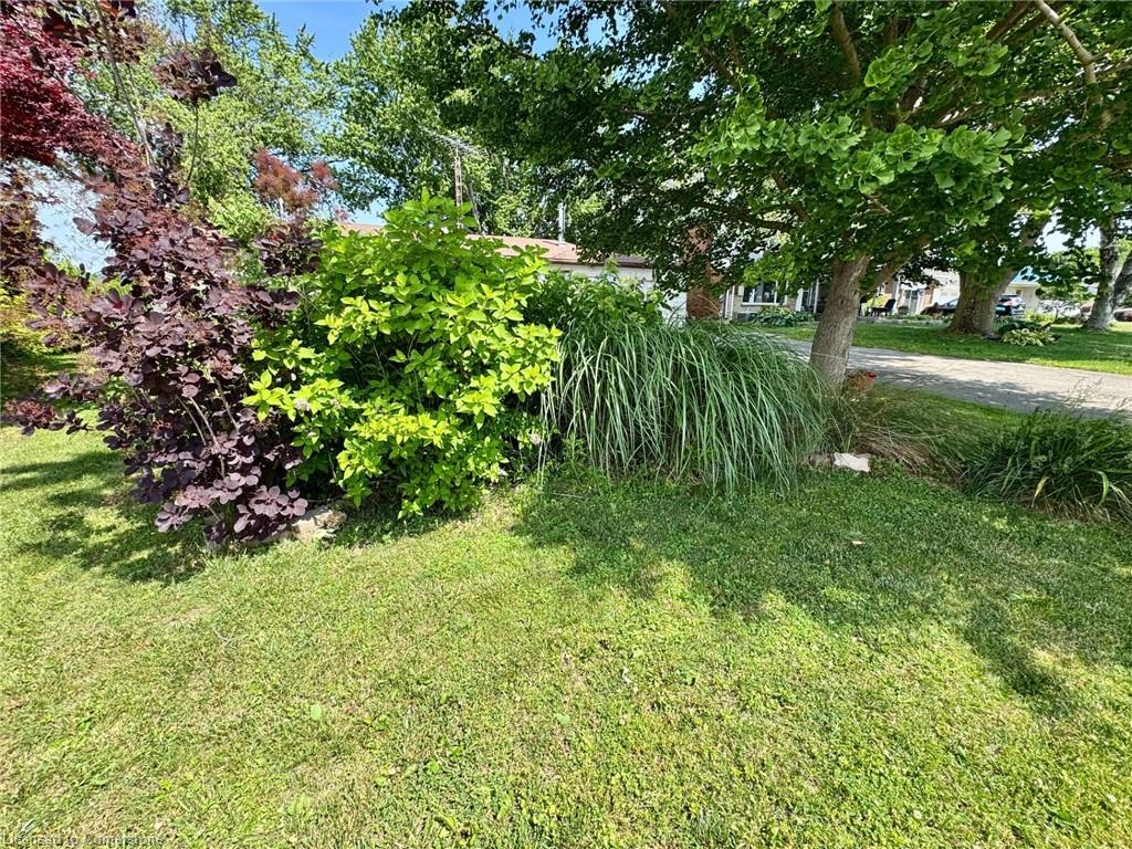 30 Bee Street Property Photo 25