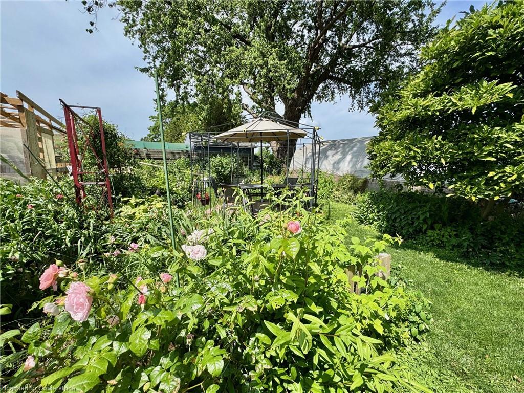 30 Bee Street Property Photo 29