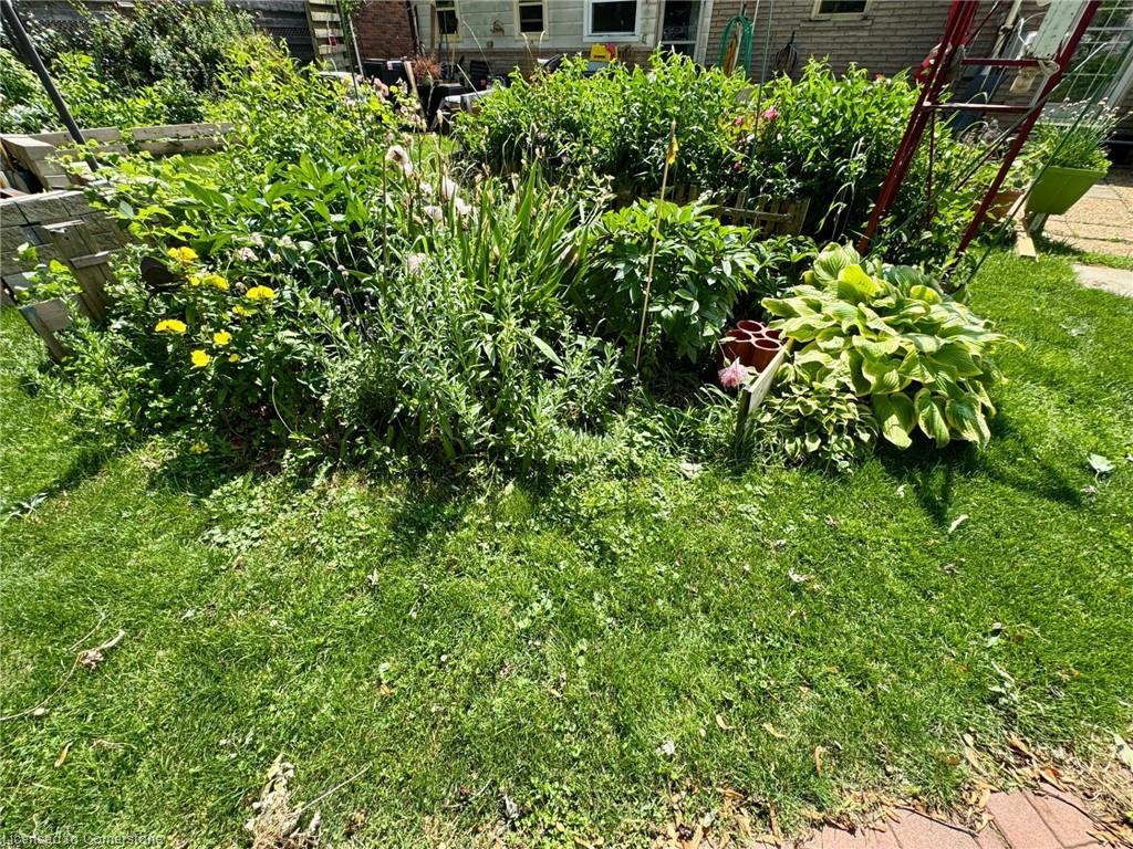 30 Bee Street Property Photo 31