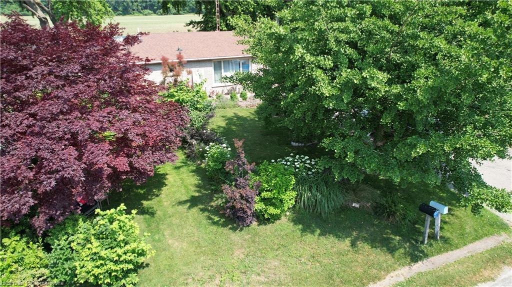 30 Bee Street Property Photo 35