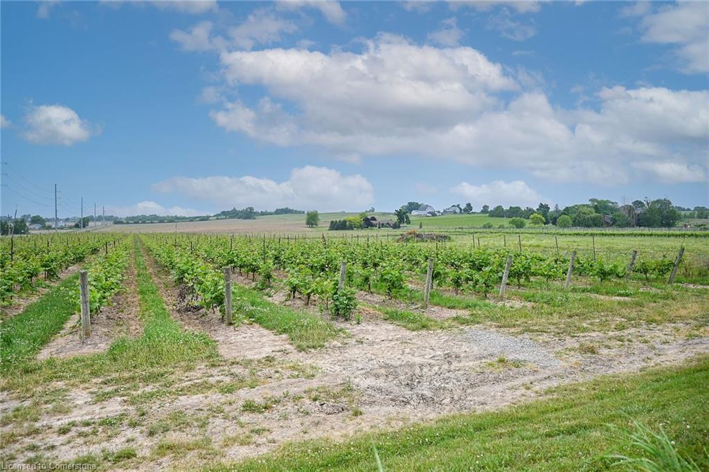 3749 Walker Road Property Photo 40