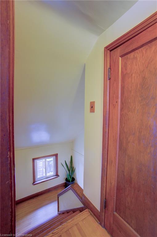 20 Dunham Avenue Property Photo 24
