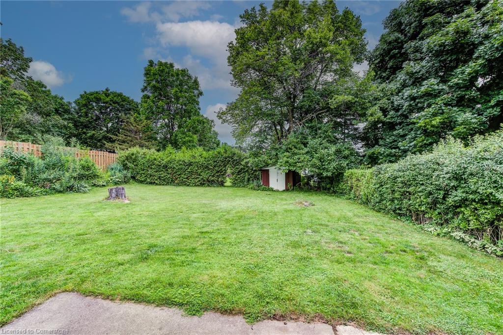 8 Gordon Street Property Photo 36