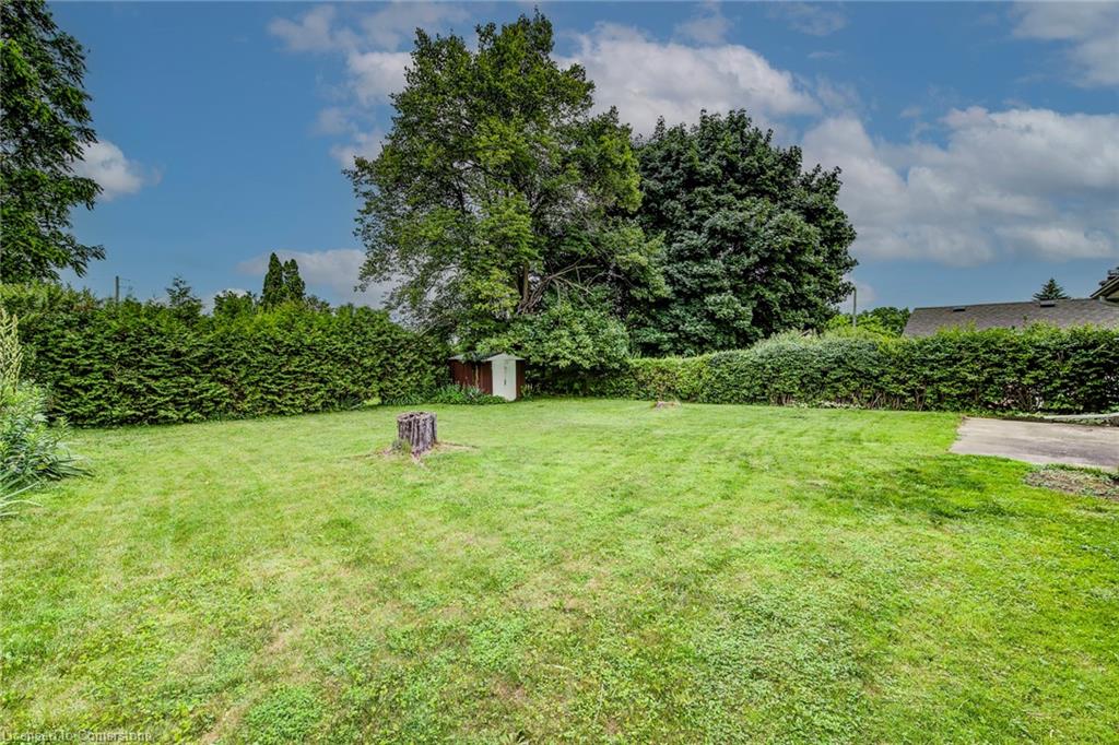 8 Gordon Street Property Photo 39