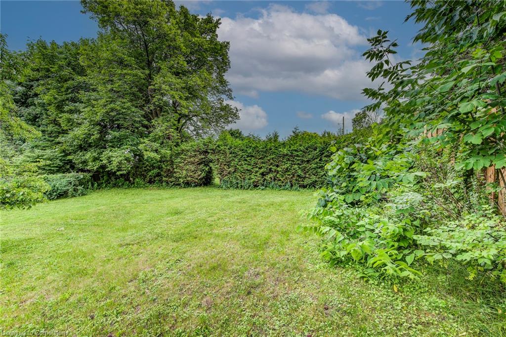 8 Gordon Street Property Photo 41