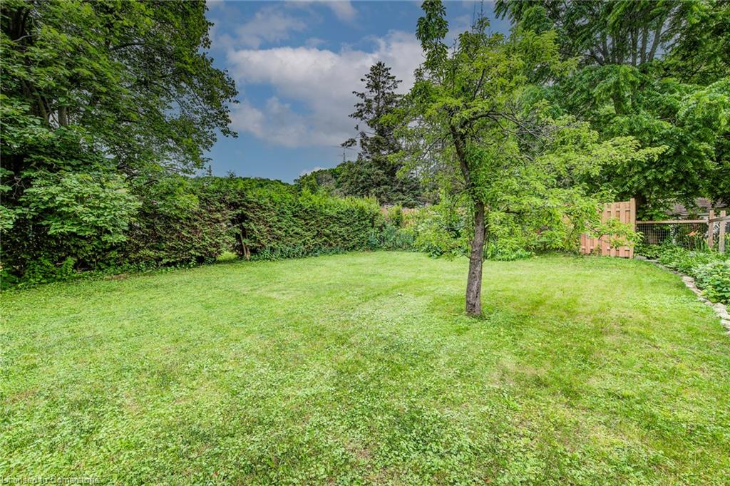 8 Gordon Street Property Photo 42