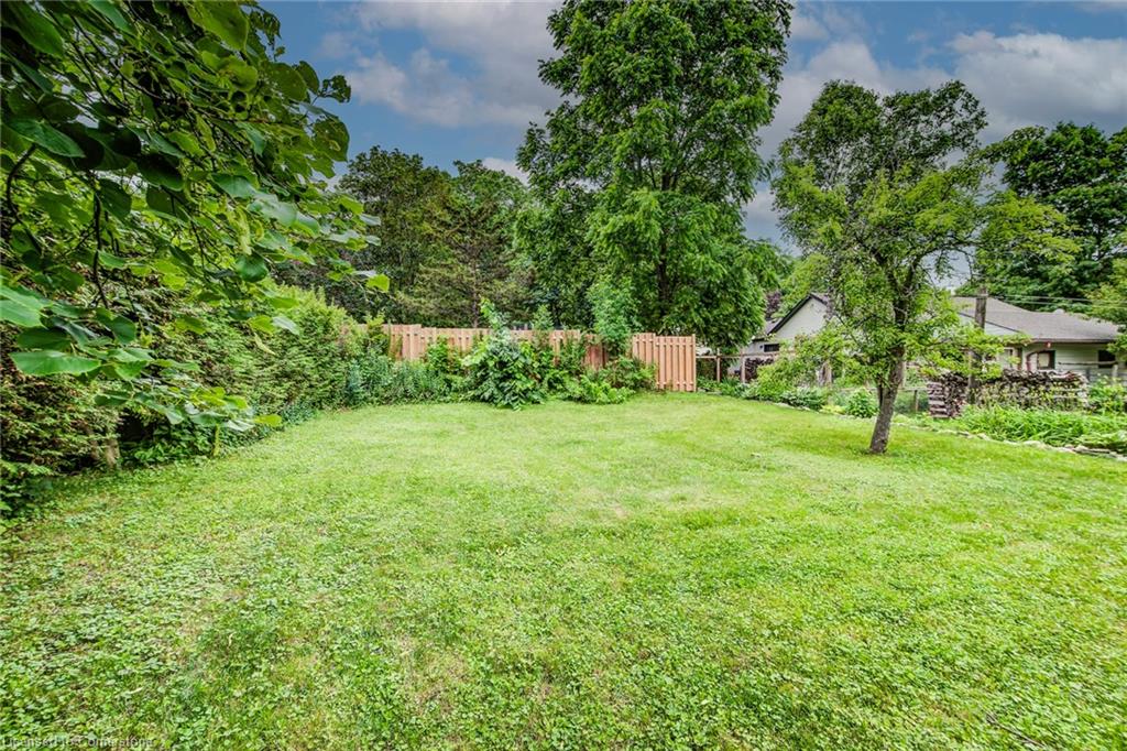 8 Gordon Street Property Photo 43
