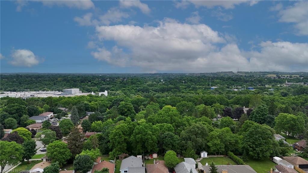 8 Gordon Street Property Photo 47