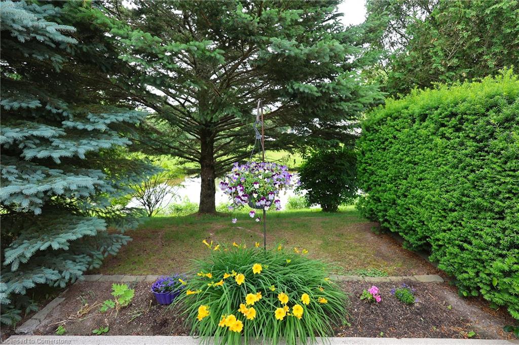 7-21 Foell Street Property Photo 21