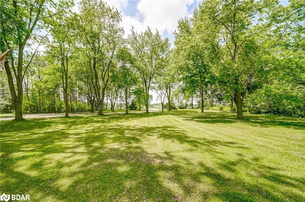 15809 Dufferin Street Property Photo 2