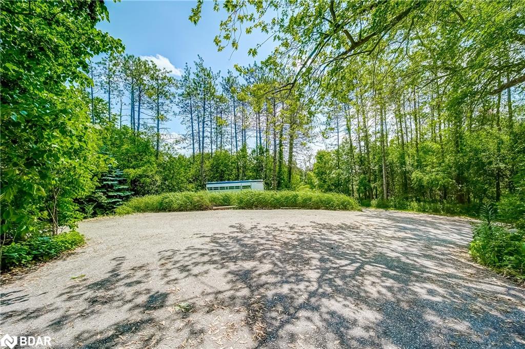 15809 Dufferin Street Property Photo 40