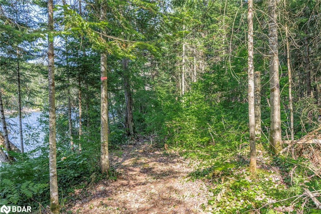 1559 118 Highway E Property Photo 43