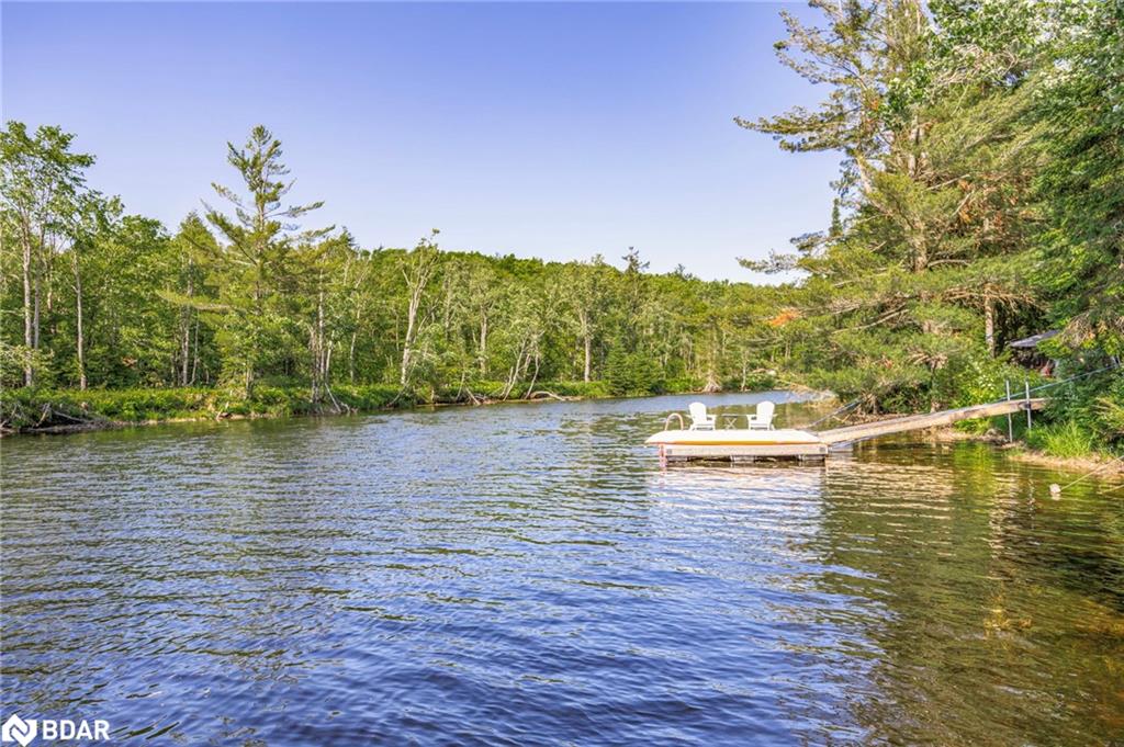 1559 118 Highway E Property Photo 46