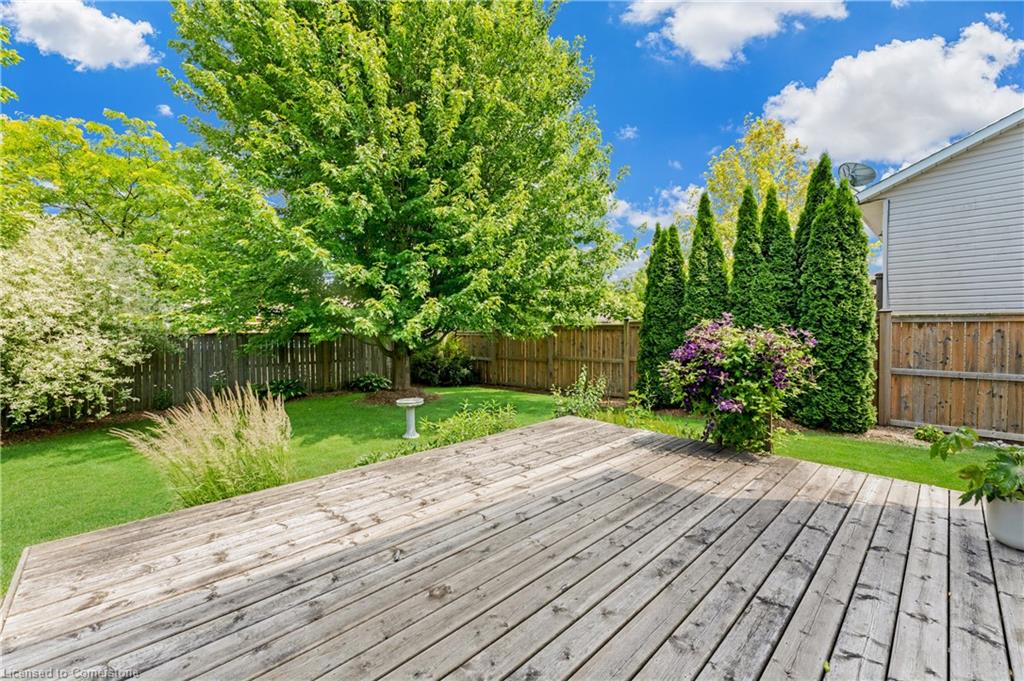 11 Hope Avenue Property Photo 12