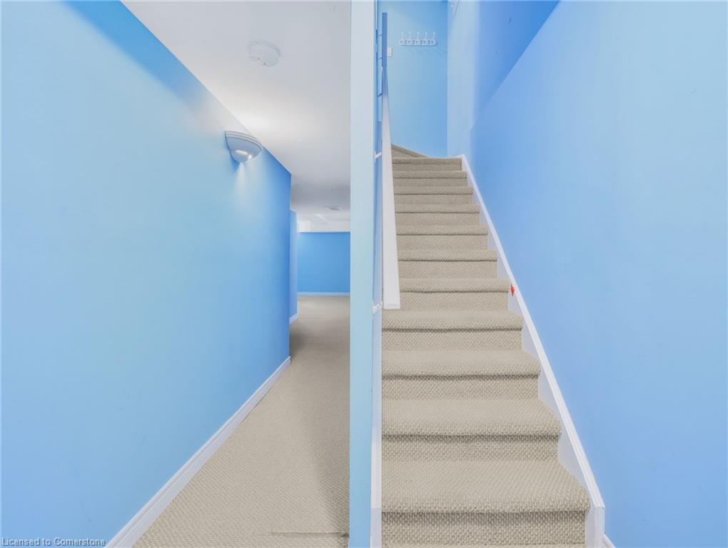 90-20 Mcconkey Crescent Property Photo 33