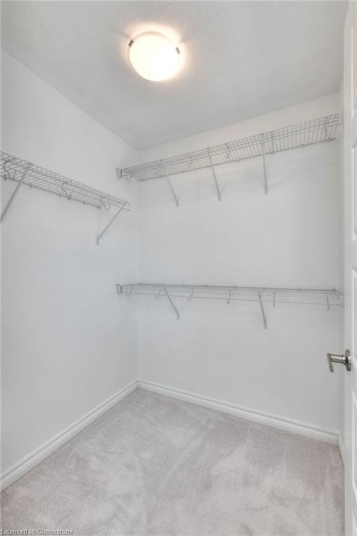 22 Saxony St Property Photo 30