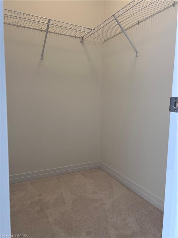 39 Hine Road Property Photo 21