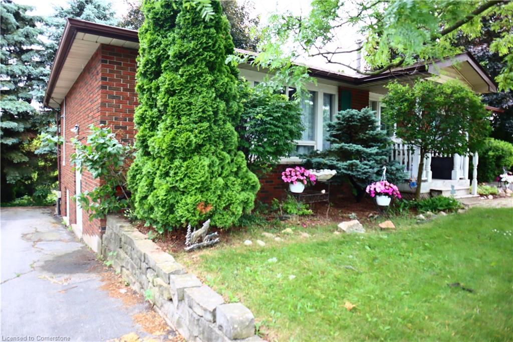 396 Ontario Street Property Photo 1