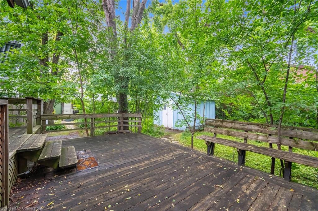 24 Hillcrest Avenue Property Photo 17