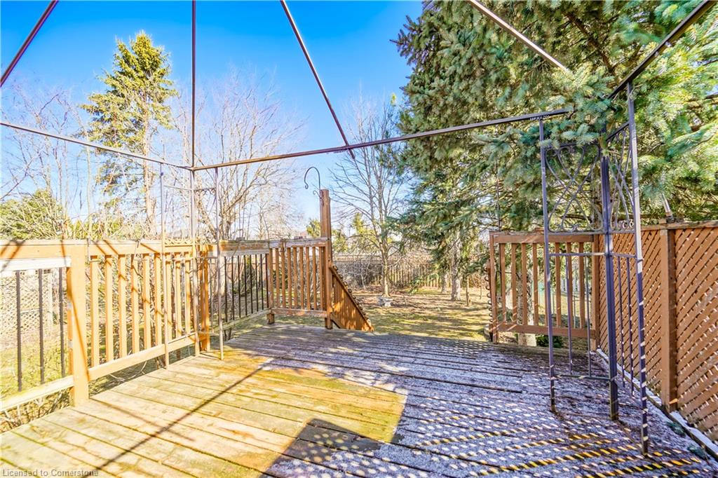14 Murray Hill Road Property Photo 17