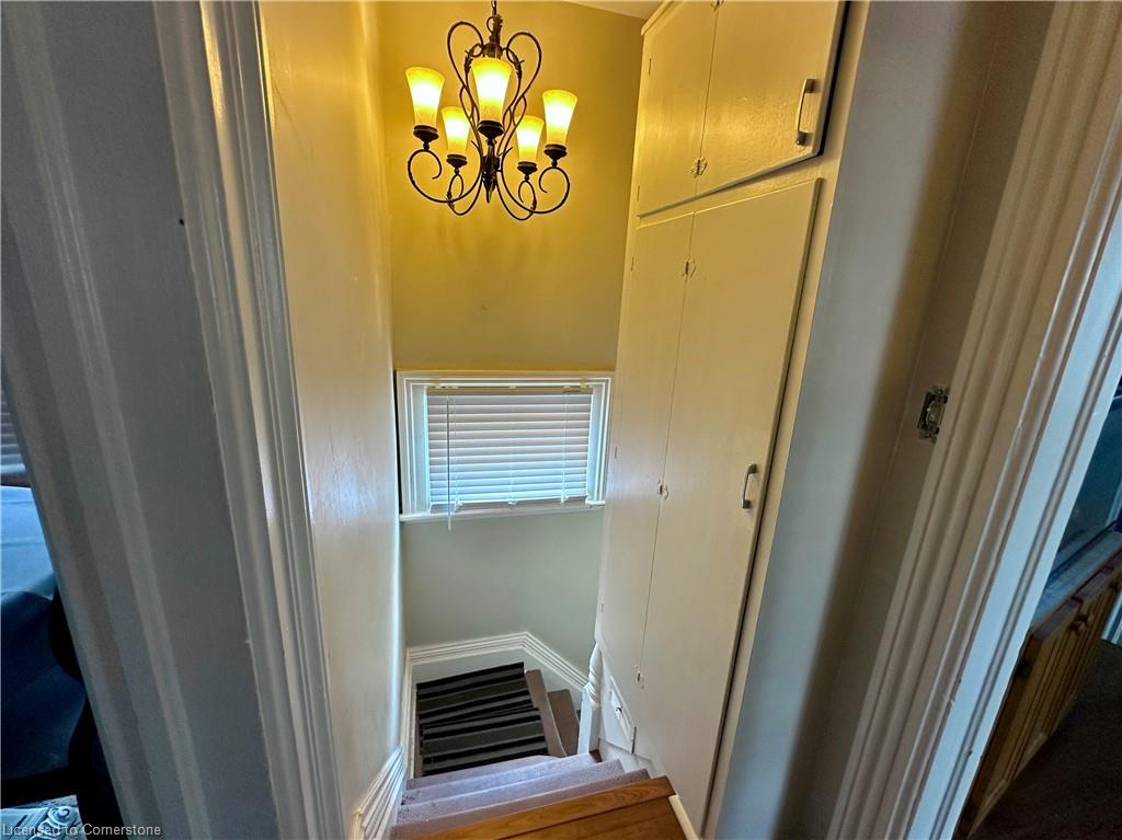 19 Brighton Avenue Property Photo 25