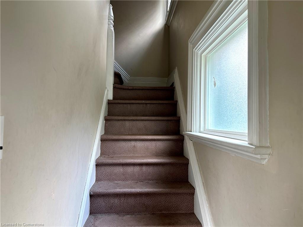 19 Brighton Avenue Property Photo 25