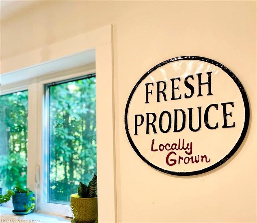 234 Canrobert Street Property Photo 15