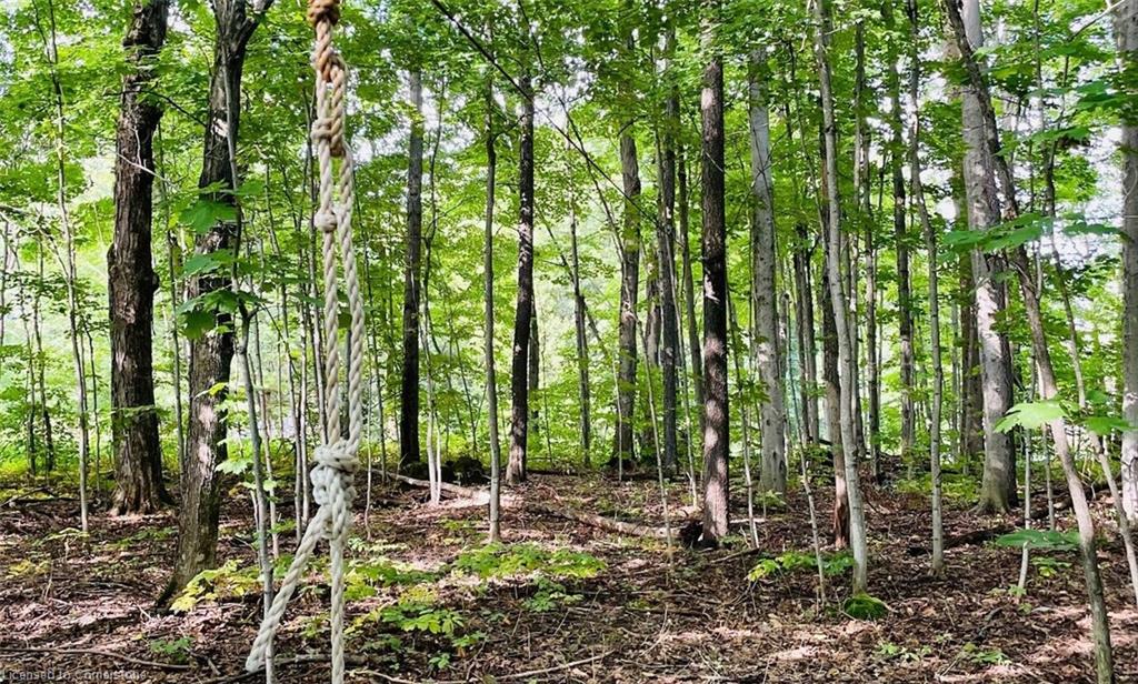 234 Canrobert Street Property Photo 49