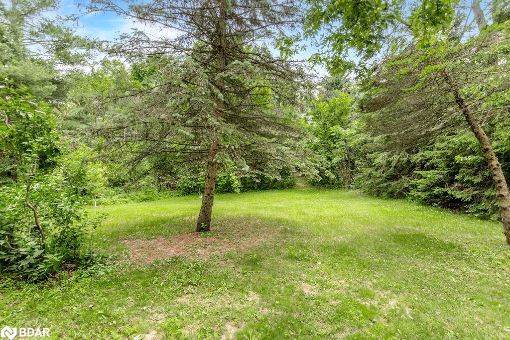 1175 Carson Road Property Photo 37