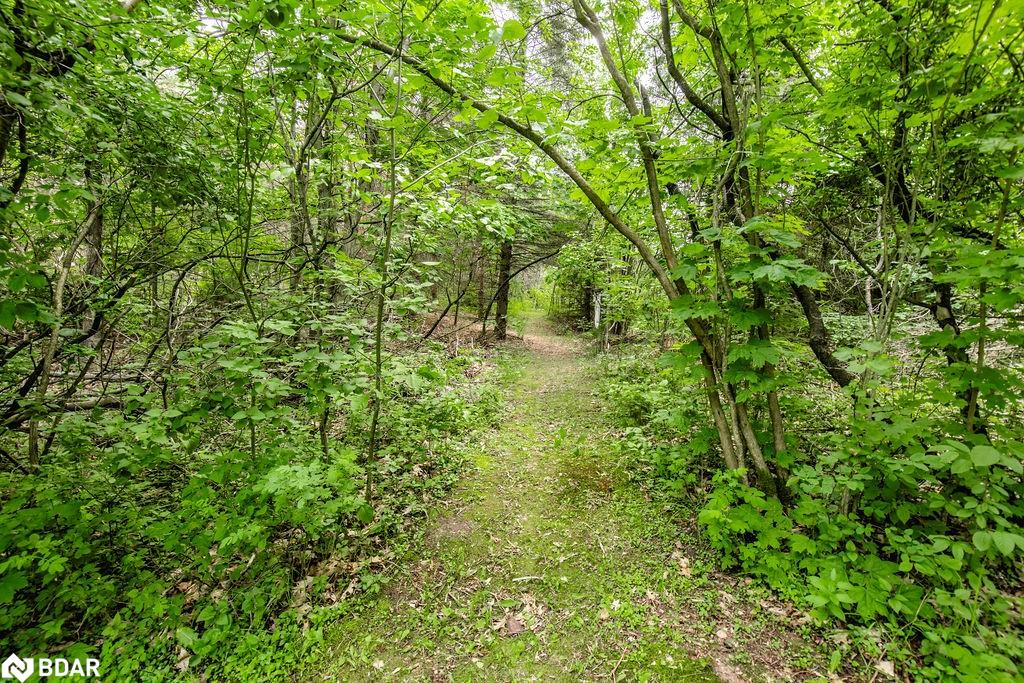 1175 Carson Road Property Photo 38