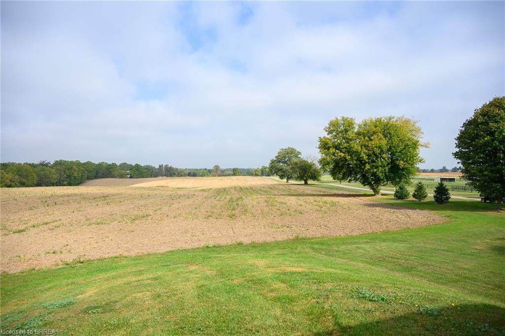 481 Lynden Road Property Photo 18