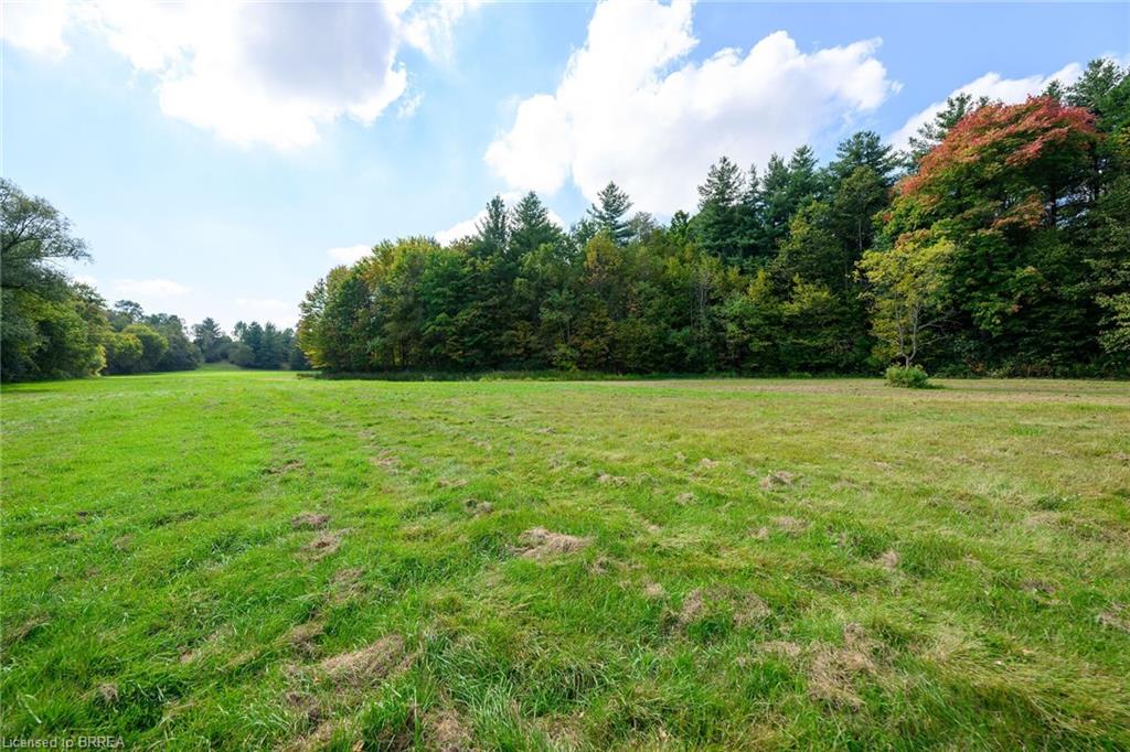481 Lynden Road Property Photo 40