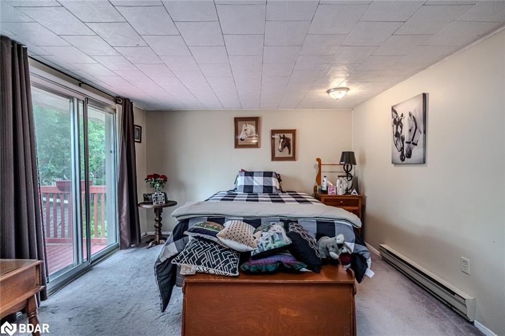 6134 County Road 13 Property Photo 5