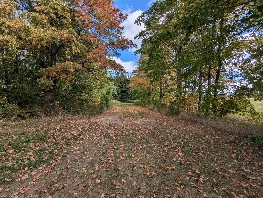 7119 5th Line Property Photo 3