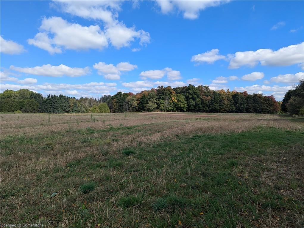 7119 5th Line Property Photo 14