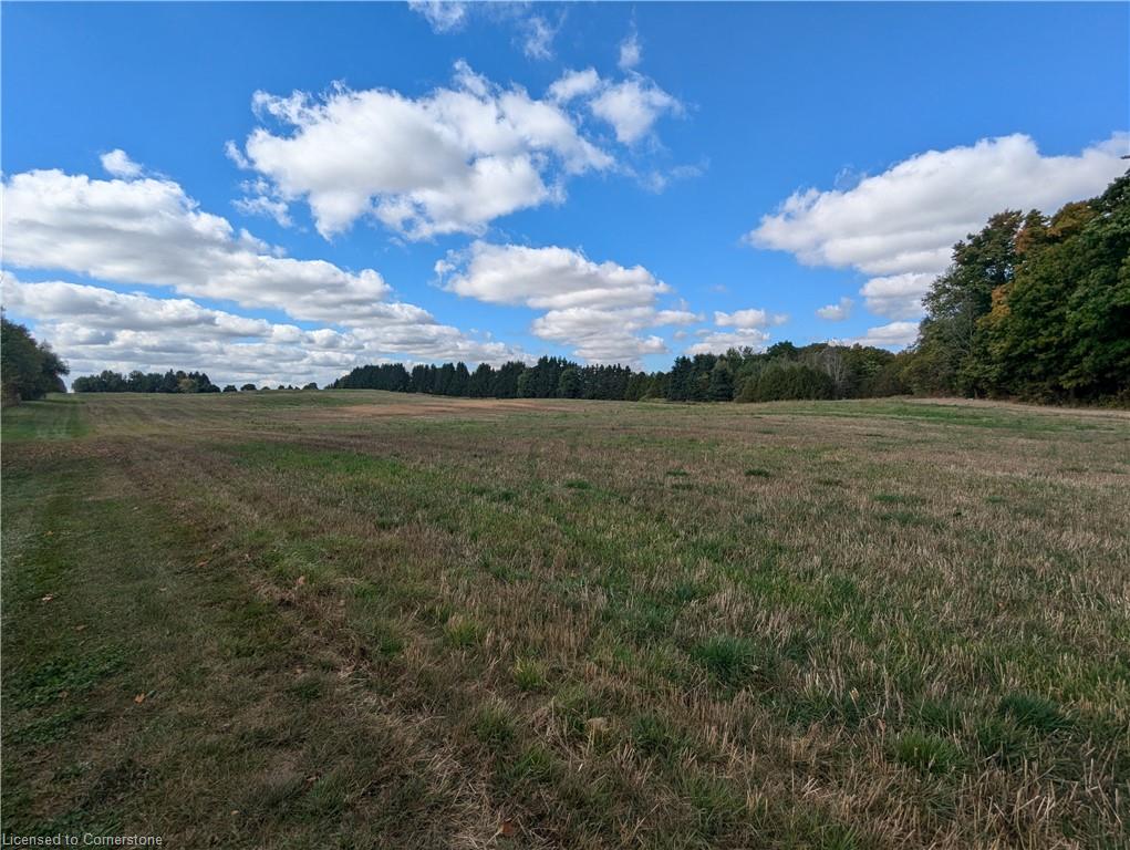 7119 5th Line Property Photo 15