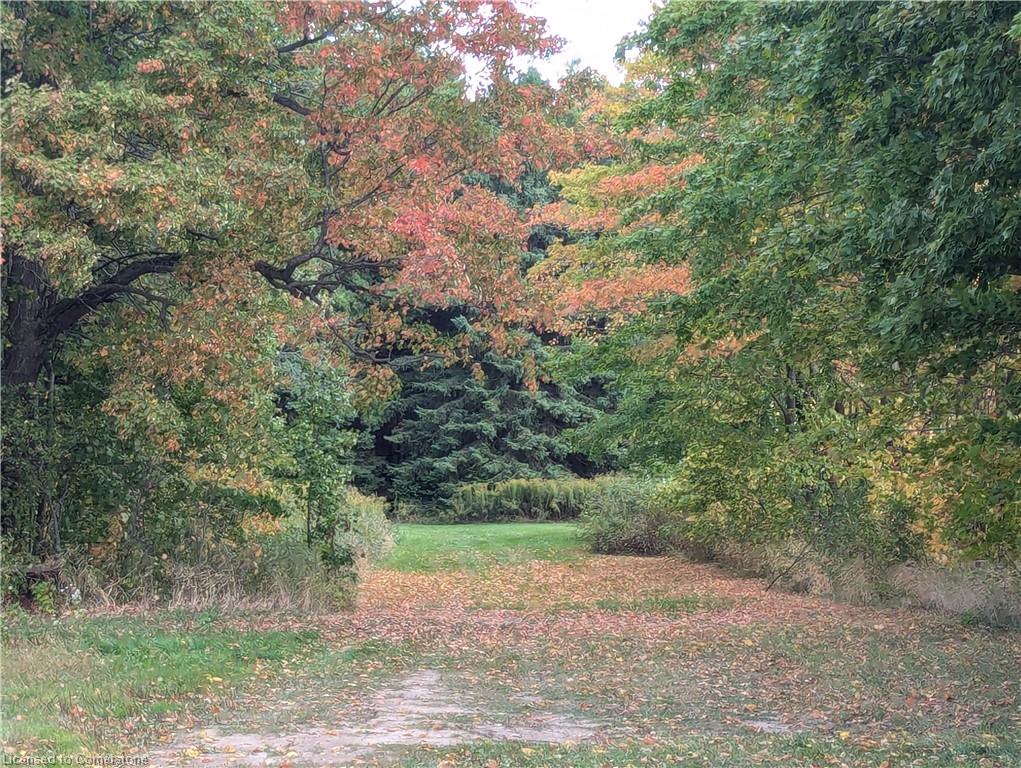 7119 5th Line Property Photo 19