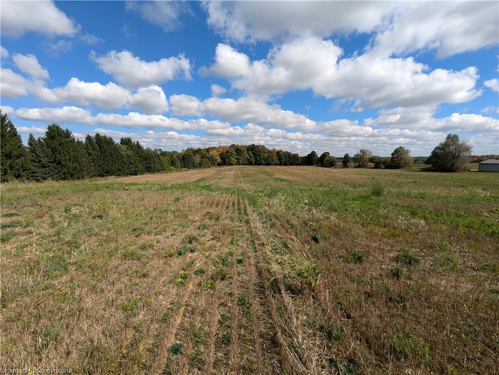 7119 5th Line Property Photo 26