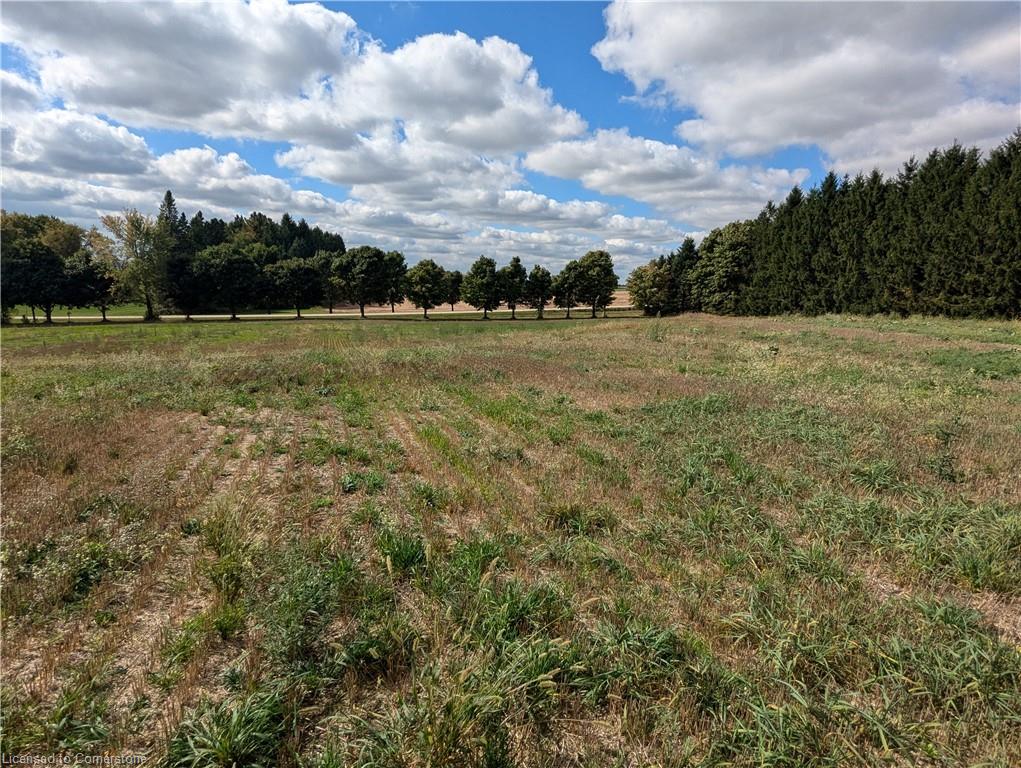 7119 5th Line Property Photo 28