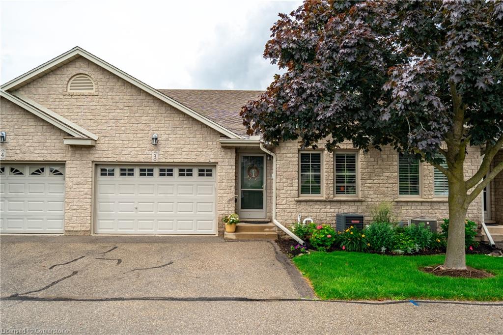 3-19 Hanlon Place