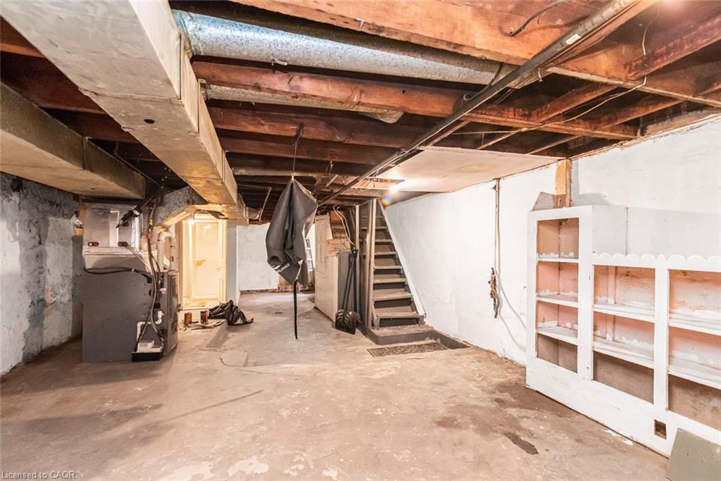 62 Francis Street Property Photo 39