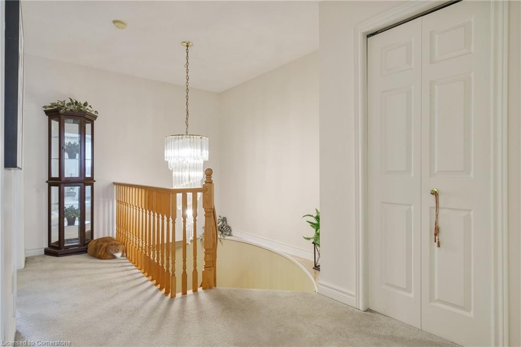 180 Dicenzo Drive Property Photo 33