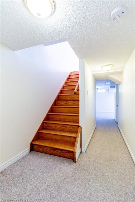 65-100 Beddoe Street Property Photo 23