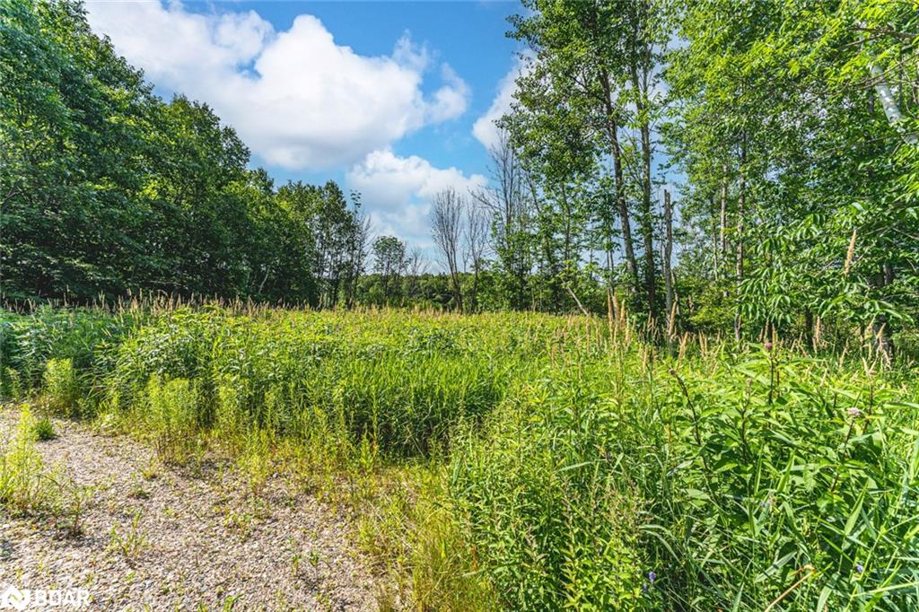 91b Highway 124 Property Photo 3