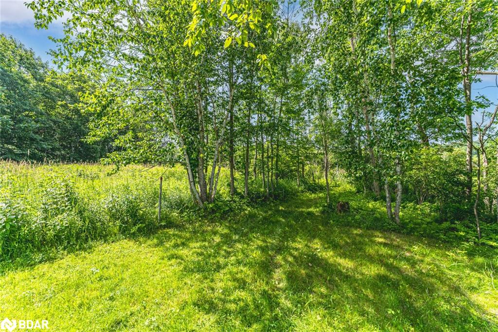 91b Highway 124 Property Photo 4