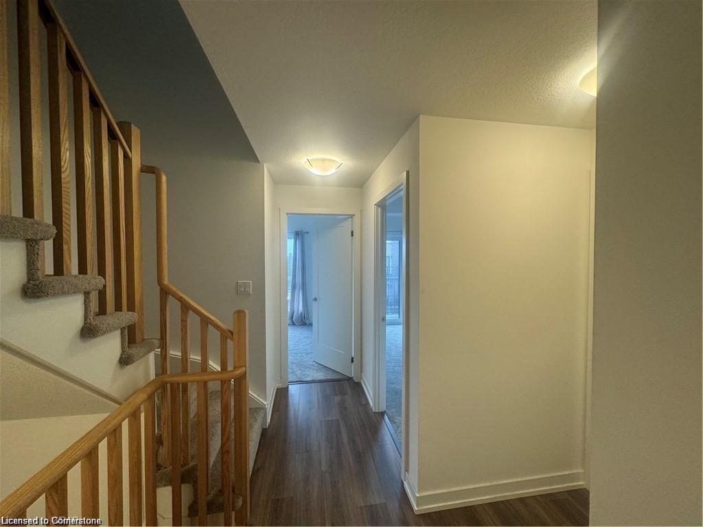 C3-10 Palace Street Property Photo 16